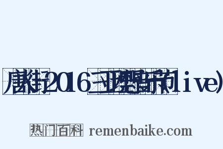 唐人街-2016三亚理想音乐节(live)是什么意思的图片